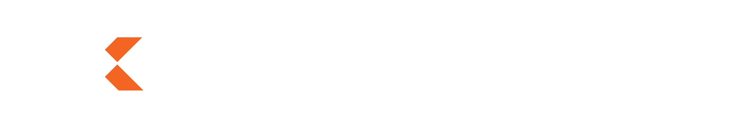 Express Cranes logo in light theme